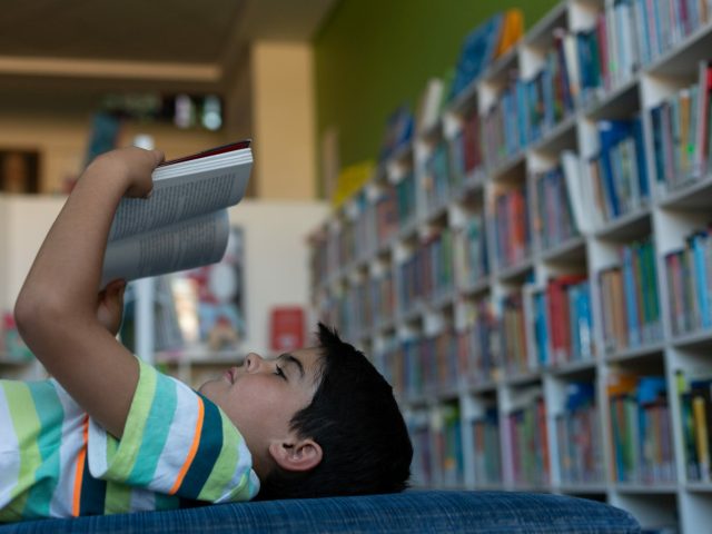 Kobi_Side view of a Caucasian schoolboy lying on the sofa and reading a book in the library at elementary school